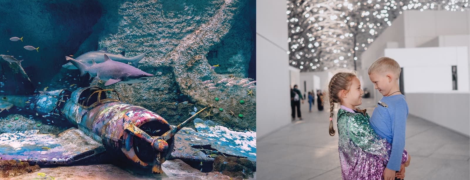 the national aquarium and louvre abu dhabi