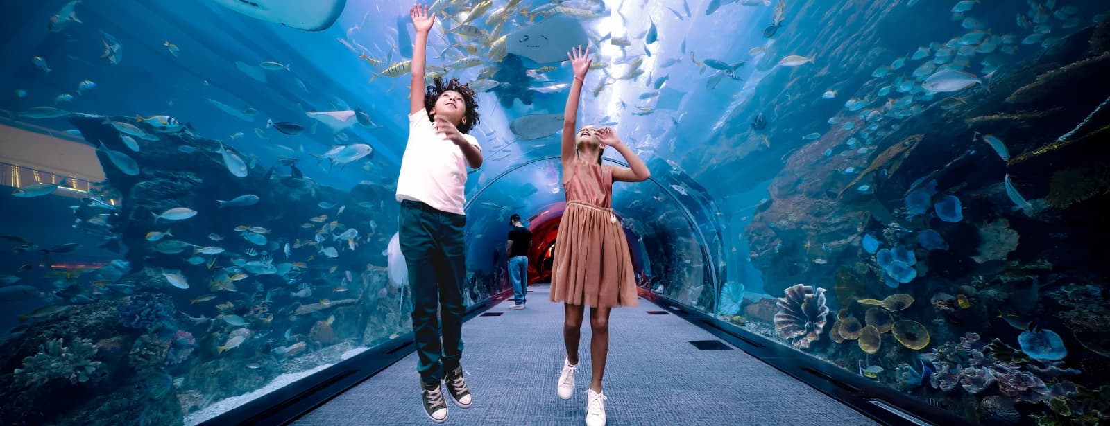 dubai aquarium & underwater zoo
